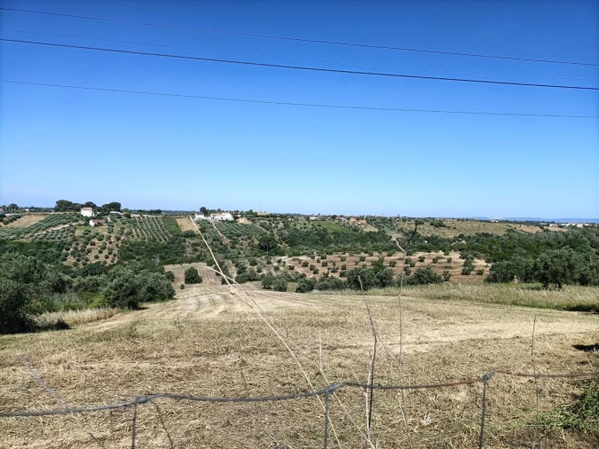Terreno para Venda em Moçarria Foto 10