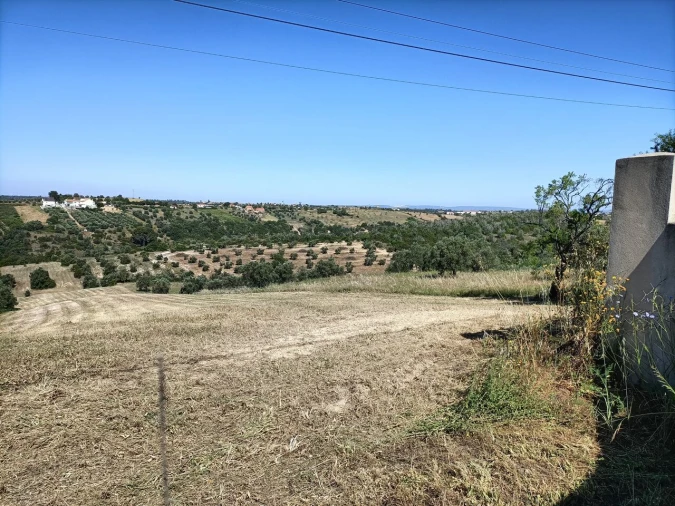 Terreno para Venda em Moçarria Foto 11