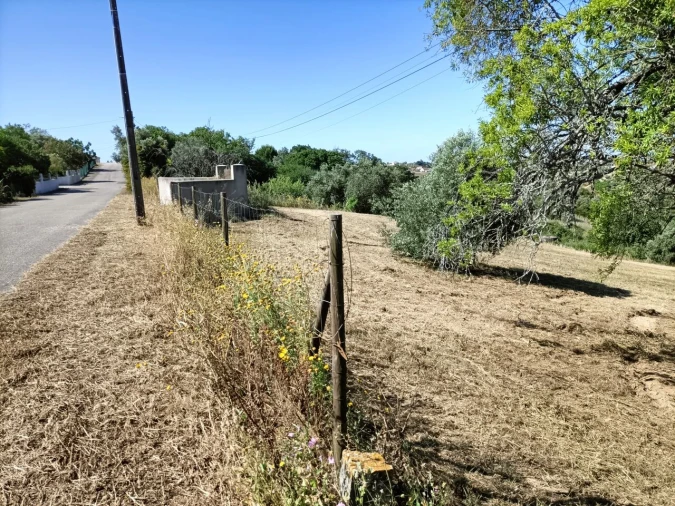Terreno para Venda em Moçarria Foto 14