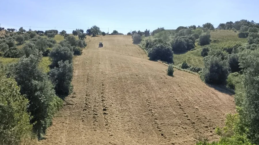 Terreno para Venda em Moçarria