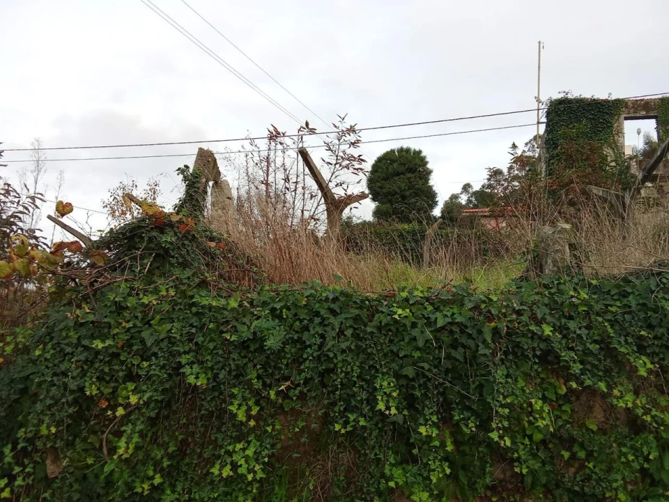 Quinta T5 para Venda em Bela Foto 6