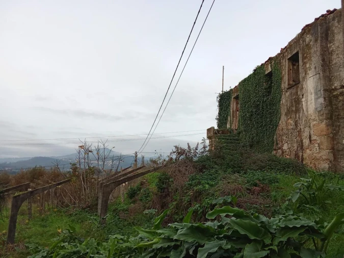 Quinta T5 para Venda em Bela