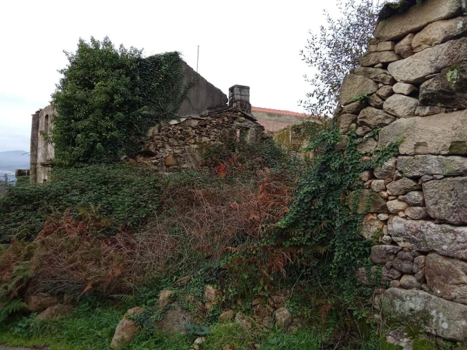 Quinta T5 para Venda em Bela Foto 3