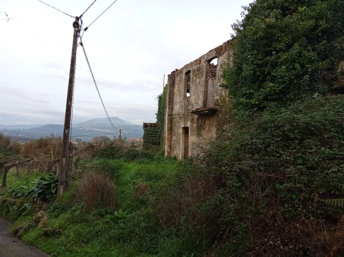 Quinta T5 para Venda em Bela Foto 4