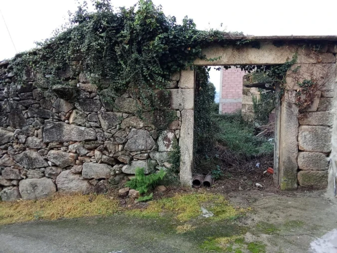 Quinta T5 para Venda em Bela Foto 5