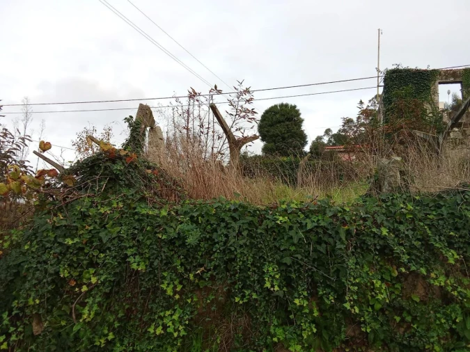 Quinta T5 para Venda em Bela Foto 6