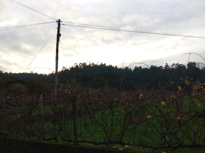 Quinta T5 para Venda em Bela Foto 7