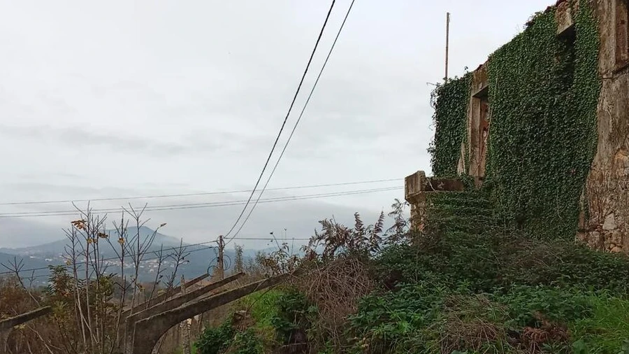 Quinta T5 para Venda em Bela