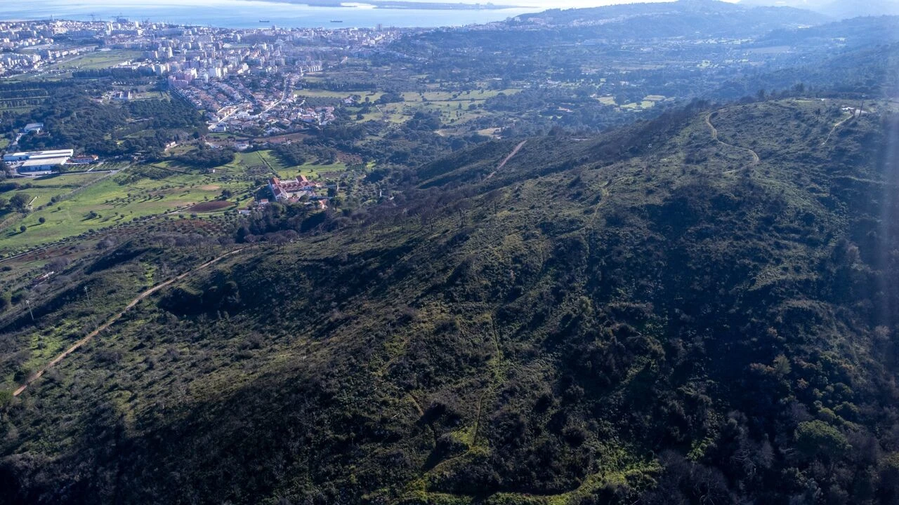 Terreno para Venda em Palmela Foto 10