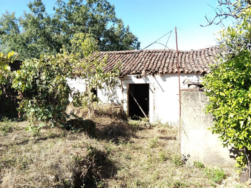 Moradia T6 para Venda em Pussos São Pedro Foto 27