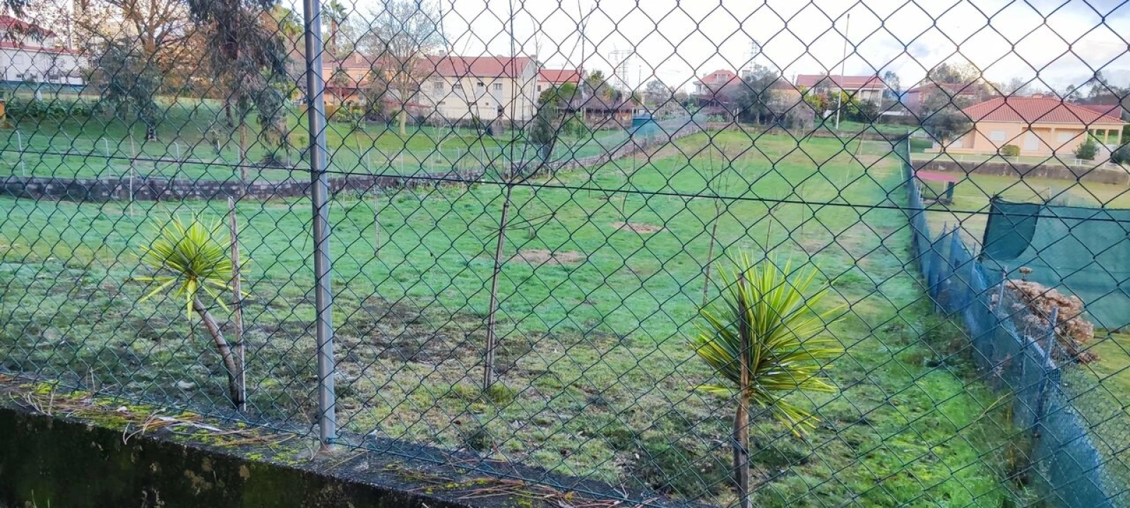Terreno para Venda em Associação de Freguesias do Vale do Neiva Foto 2