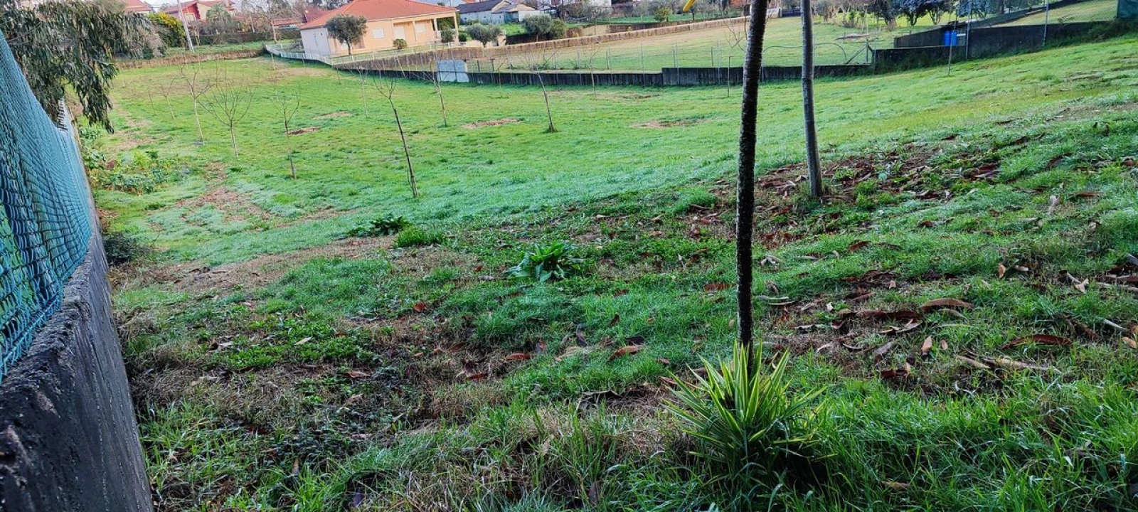 Terreno para Venda em Associação de Freguesias do Vale do Neiva Foto 8