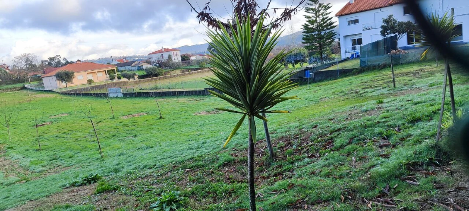 Terreno para Venda em Associação de Freguesias do Vale do Neiva Foto 9