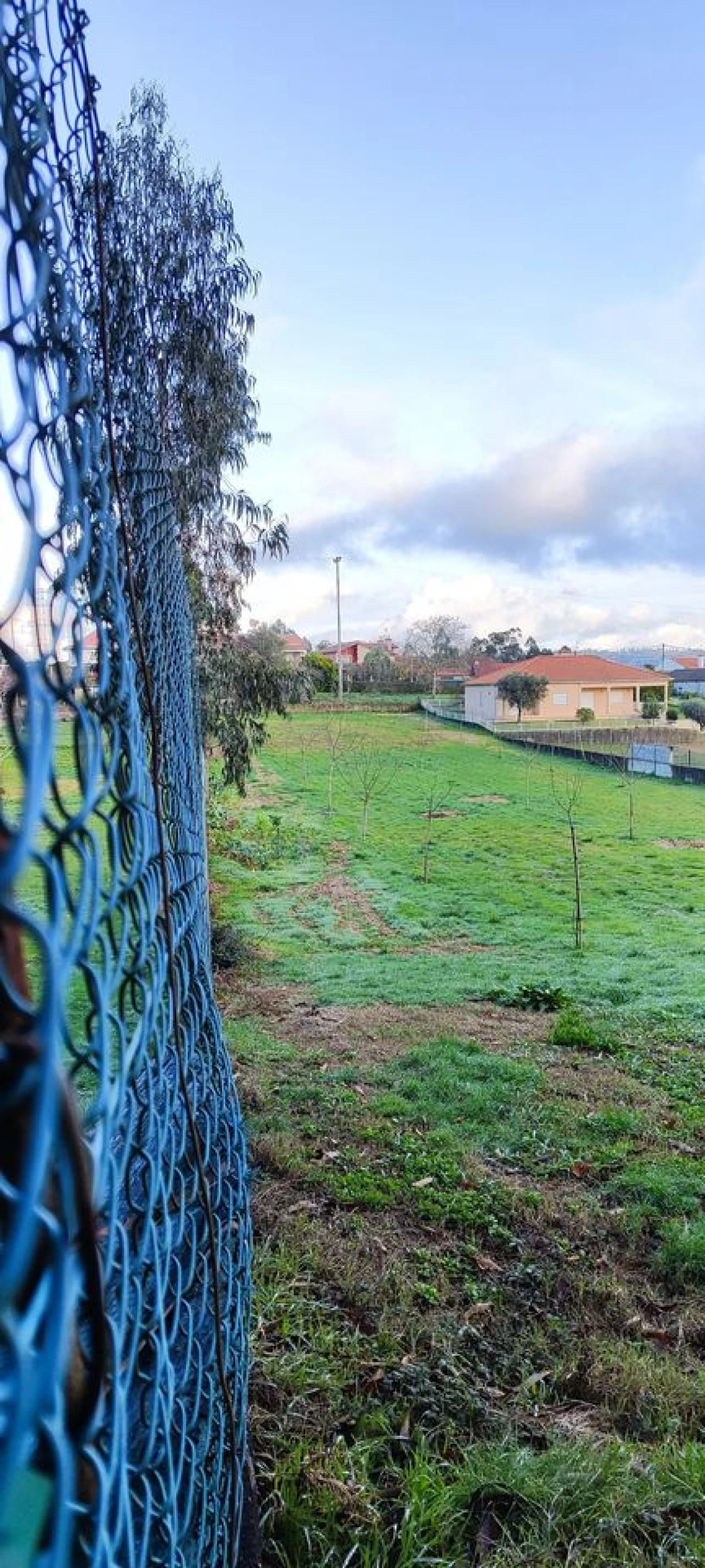 Terreno para Venda em Associação de Freguesias do Vale do Neiva Foto 10