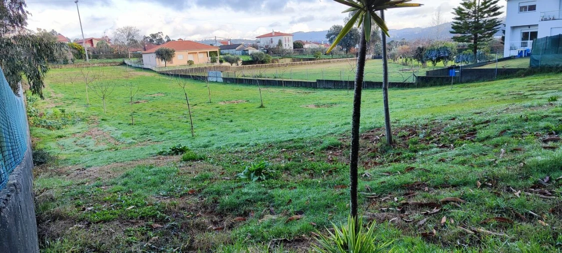 Terreno para Venda em Associação de Freguesias do Vale do Neiva Foto 6