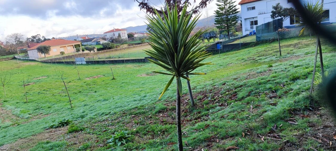 Terreno para Venda em Associação de Freguesias do Vale do Neiva Foto 7