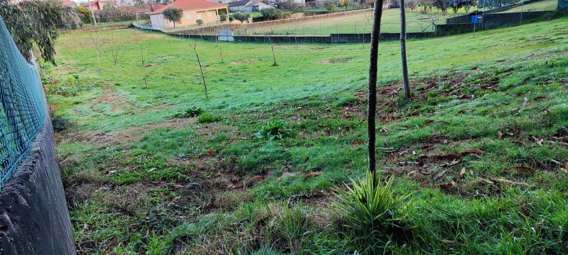 Terreno para Venda em Associação de Freguesias do Vale do Neiva Foto 8