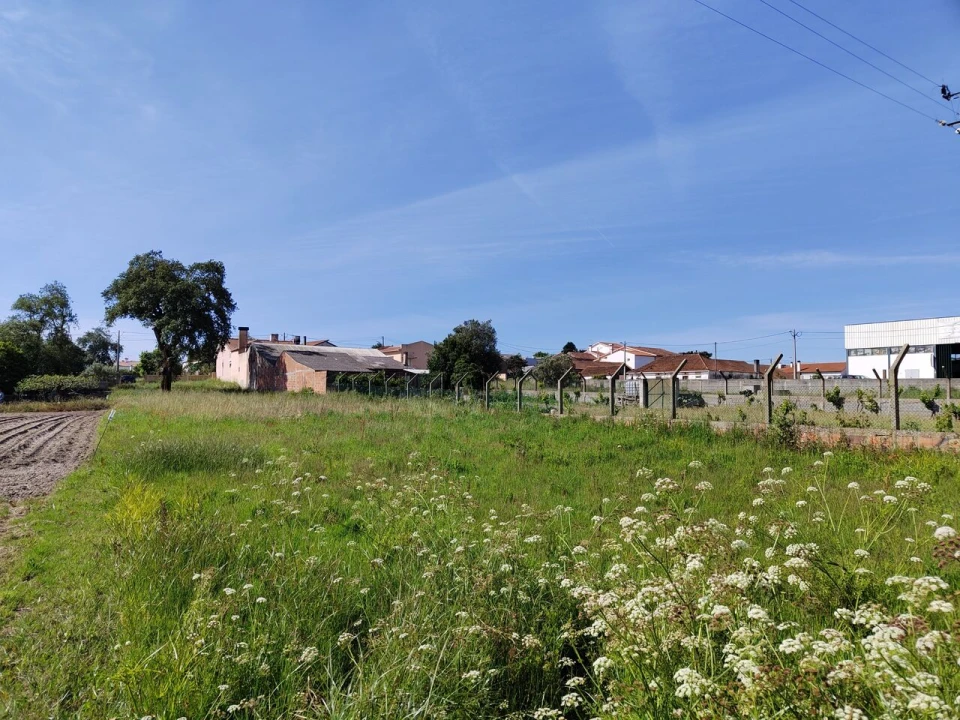 Terreno para Venda em Maceira Foto 1