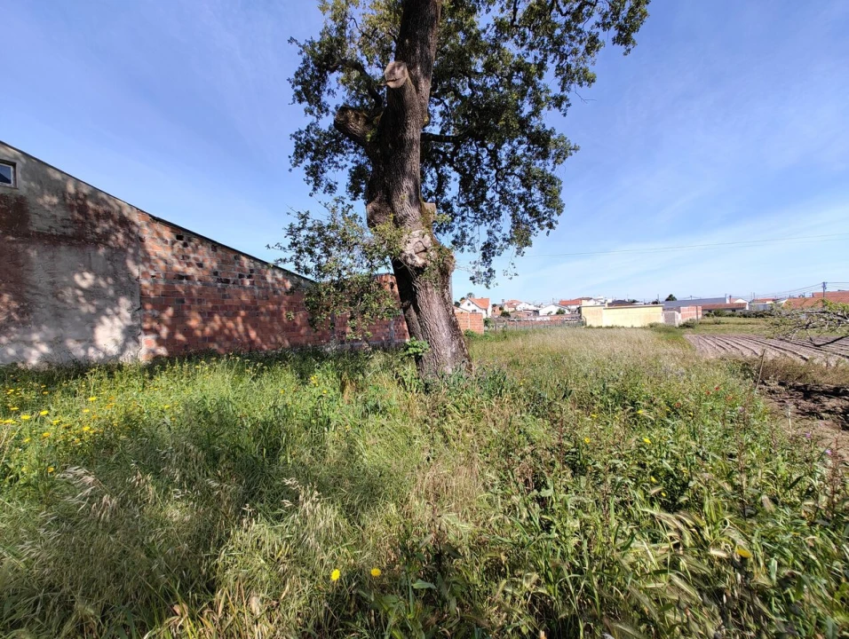 Terreno para Venda em Maceira Foto 5