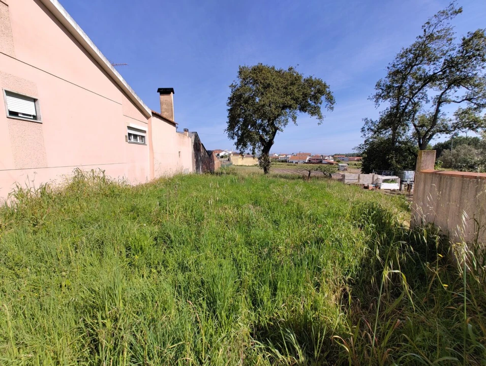 Terreno para Venda em Maceira Foto 3