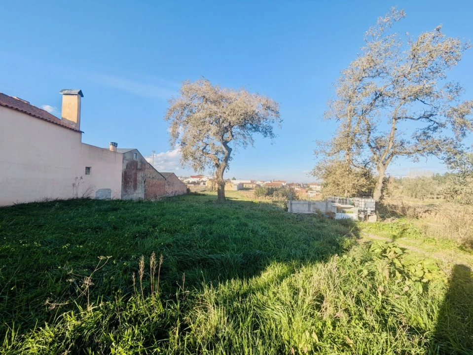 Terreno para Venda em Maceira Foto 6
