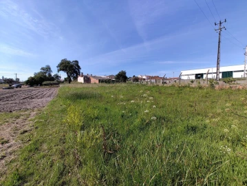 Terreno para Venda em Maceira