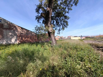 Terreno para Venda em Maceira