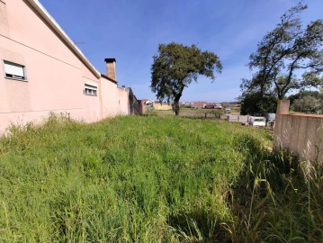 Terreno para Venda em Maceira