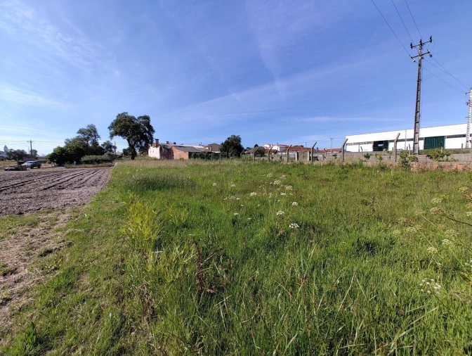 Terreno para Venda em Maceira Foto 2