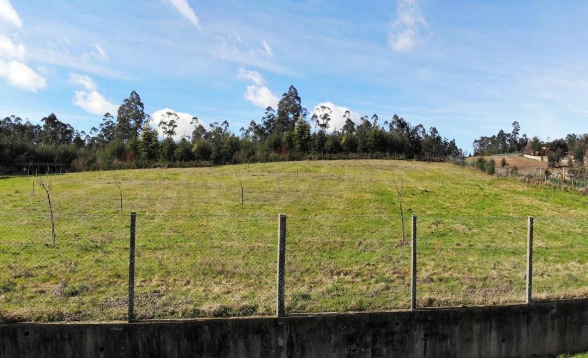 Terreno para Venda em Associação de Freguesias do Vale do Neiva Foto 6