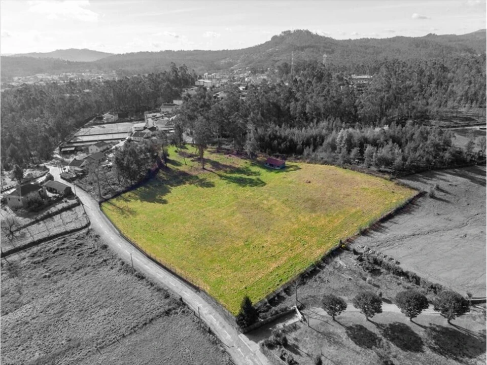 Terreno para Venda em Associação de Freguesias do Vale do Neiva Foto 1