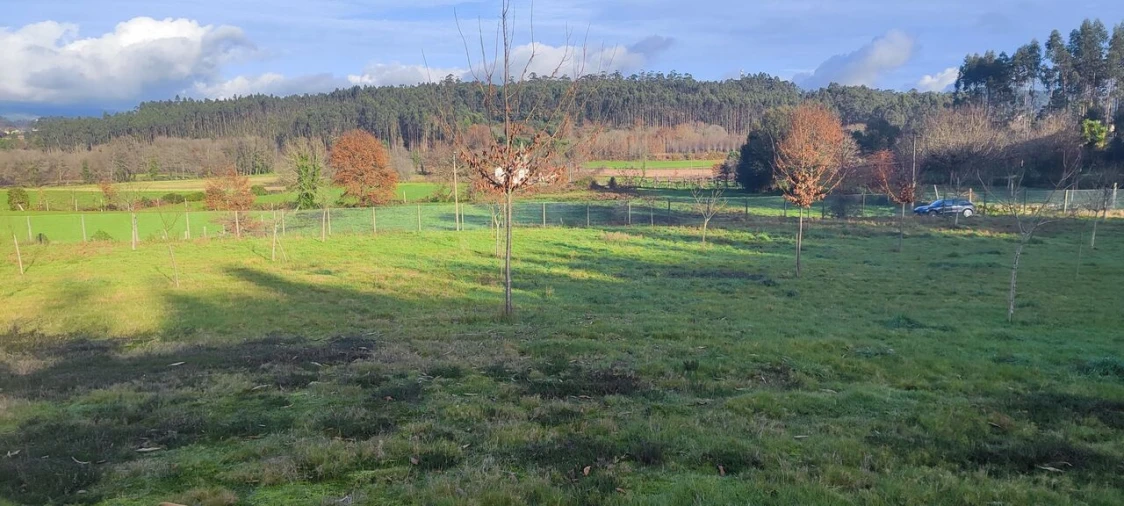Terreno para Venda em Associação de Freguesias do Vale do Neiva Foto 3