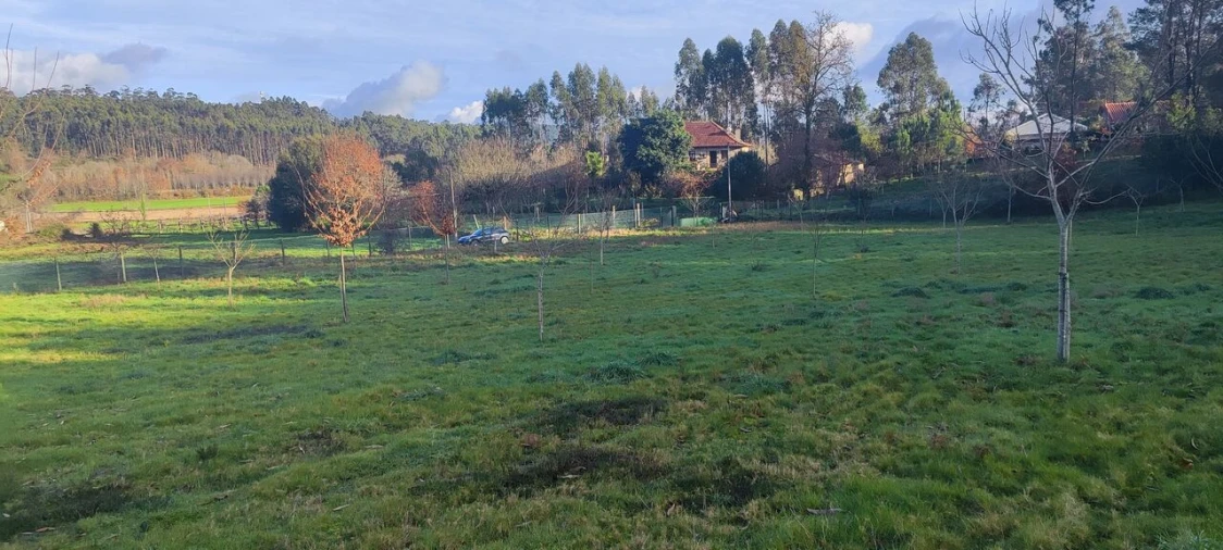 Terreno para Venda em Associação de Freguesias do Vale do Neiva Foto 4