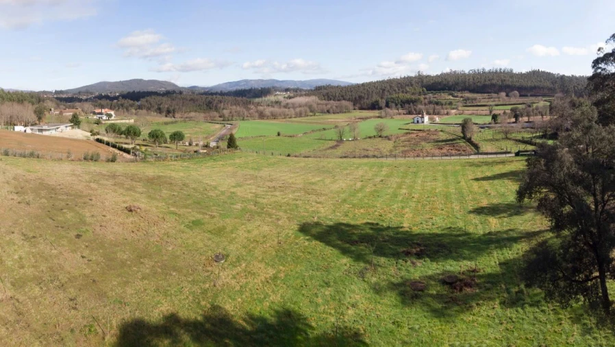Terreno para Venda em Associação de Freguesias do Vale do Neiva Foto 5