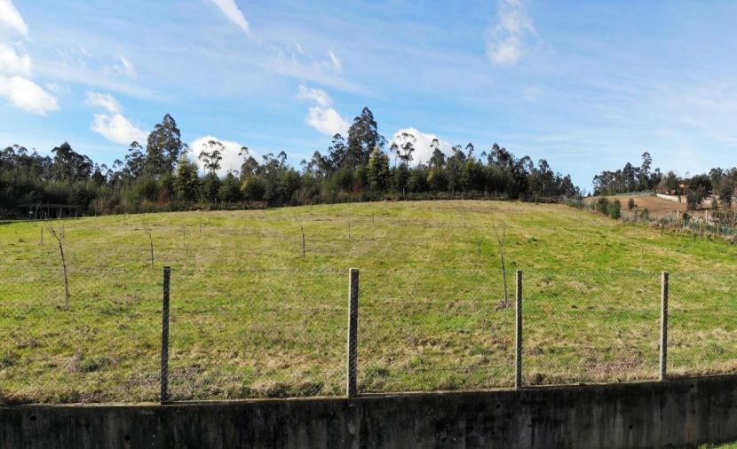 Terreno para Venda em Associação de Freguesias do Vale do Neiva Foto 6