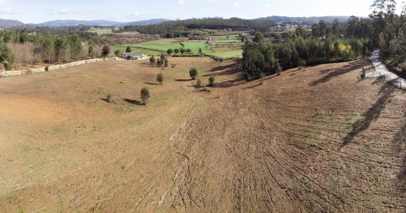 Terreno para Venda em Associação de Freguesias do Vale do Neiva Foto 6