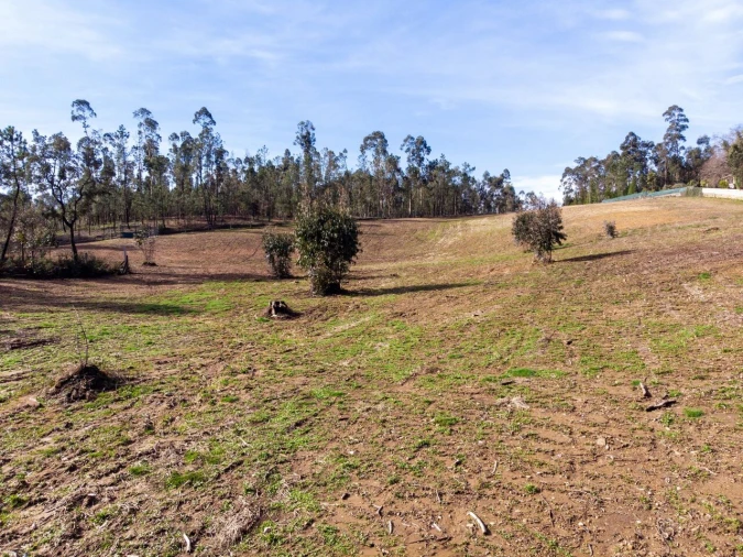 Terreno para Venda em Associação de Freguesias do Vale do Neiva Foto 4