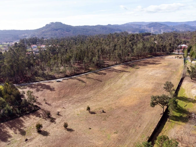 Terreno para Venda em Associação de Freguesias do Vale do Neiva Foto 5