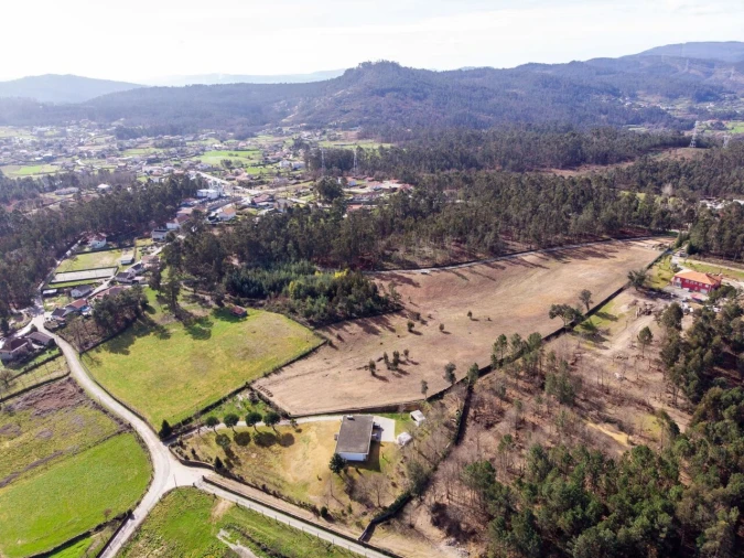 Terreno para Venda em Associação de Freguesias do Vale do Neiva Foto 7
