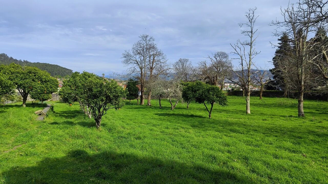 Moradia T8 para Venda em Santa Marta de Portuzelo Foto 10