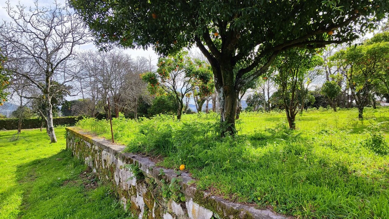 Moradia T8 para Venda em Santa Marta de Portuzelo Foto 11