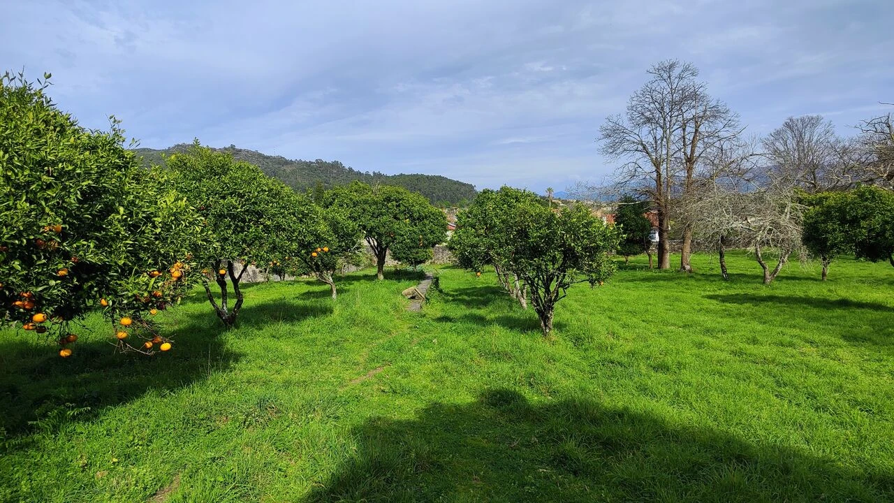 Moradia T8 para Venda em Santa Marta de Portuzelo Foto 17