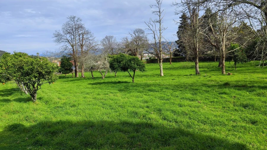 Moradia T8 para Venda em Santa Marta de Portuzelo Foto 15