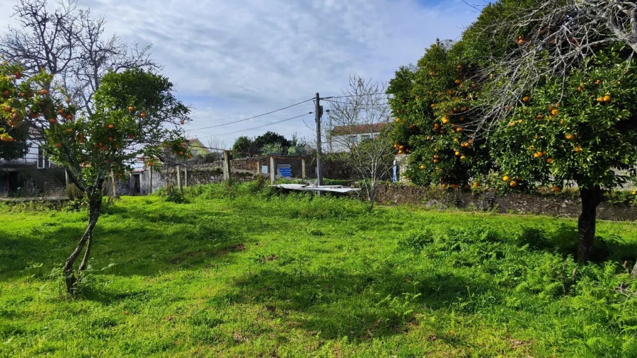 Moradia T8 para Venda em Santa Marta de Portuzelo Foto 12