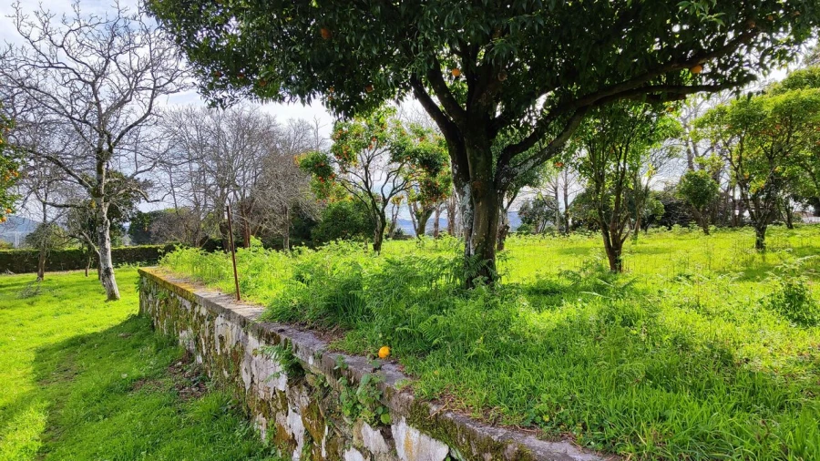 Moradia T8 para Venda em Santa Marta de Portuzelo Foto 11