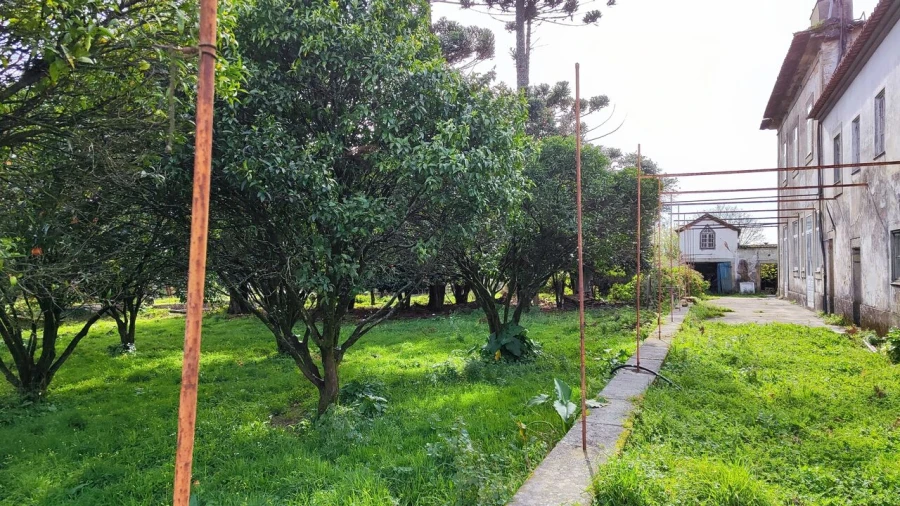 Moradia T8 para Venda em Santa Marta de Portuzelo Foto 18