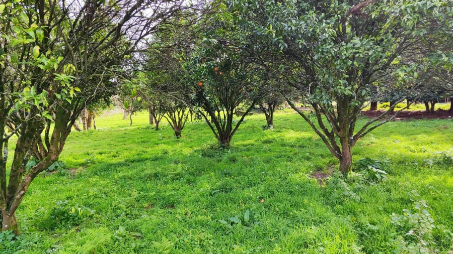 Moradia T8 para Venda em Santa Marta de Portuzelo Foto 19