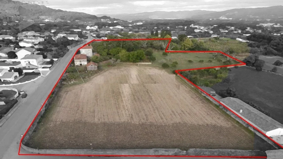 Moradia T8 para Venda em Santa Marta de Portuzelo Foto 3