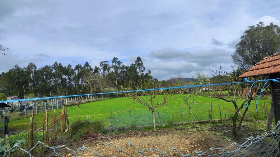 Moradia T3 para Venda em Associação de Freguesias do Vale do Neiva Foto 4