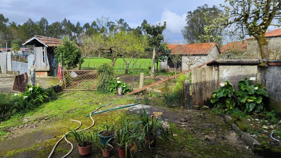 Moradia T3 para Venda em Associação de Freguesias do Vale do Neiva Foto 12